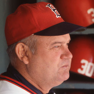 don zimmer red sox